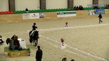 26.02. FEI Dressage CDI 3 Grand Prix. Merkulova Inessa and Mister X