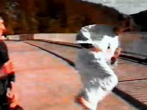 E.Zitakis Ving Tsun Film aus den 90 er Jahren. (Documentation of Ving Tsun from the 90 years)