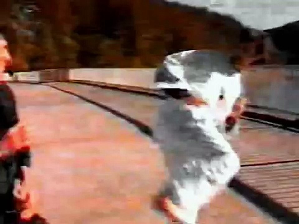 E.Zitakis Ving Tsun Film aus den 90 er Jahren. (Documentation of Ving Tsun from the 90 years)