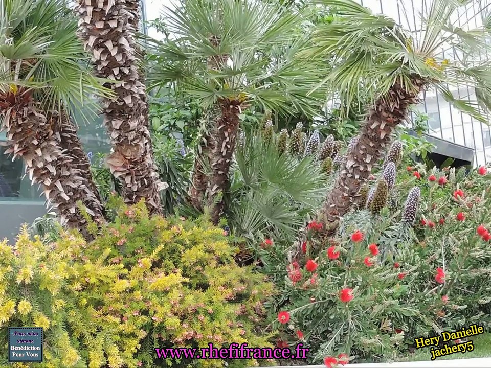 Sitrak'Andriamanitra ny hanome anao ny tsara lavitra