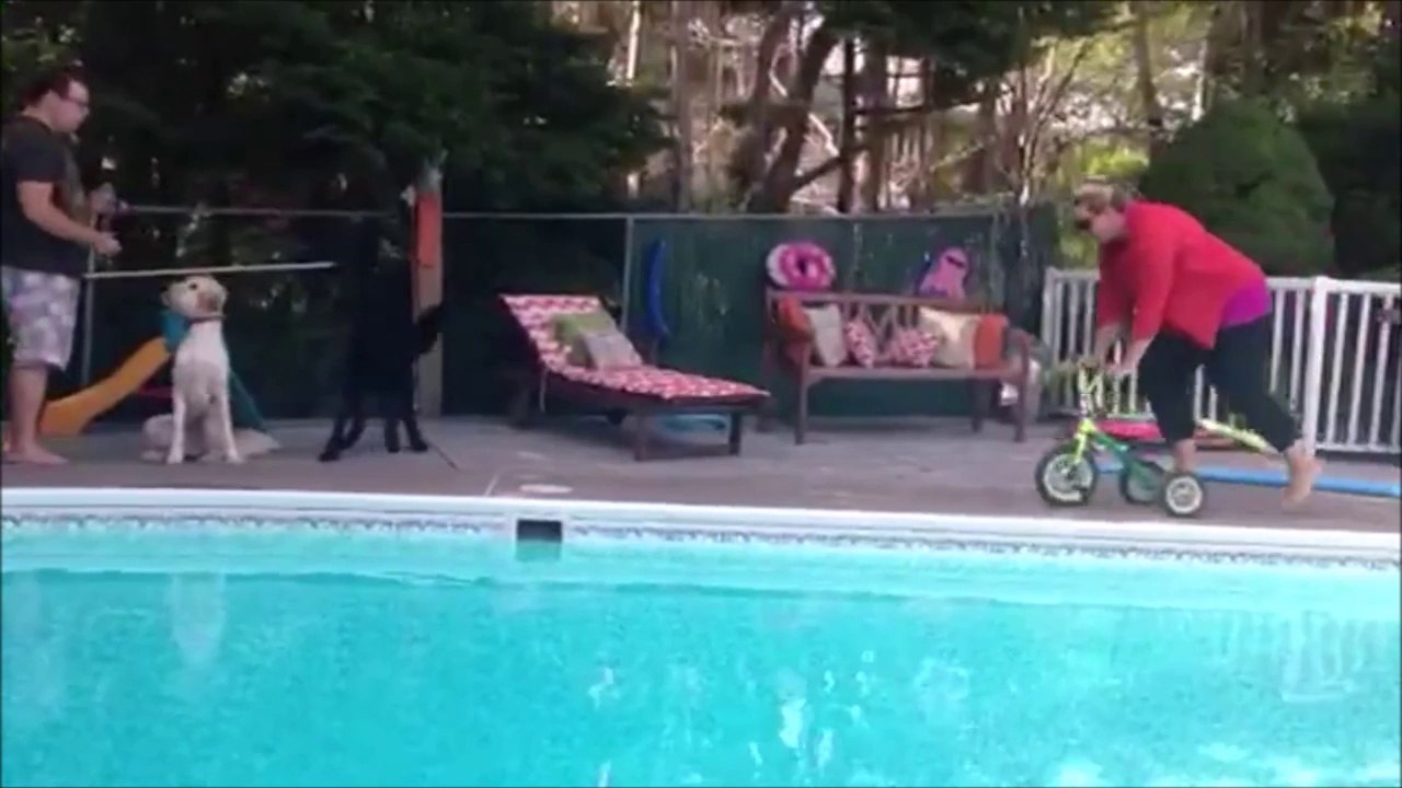Quand Maman essaie le tricycle de son enfant au bord de la piscine... FAIL