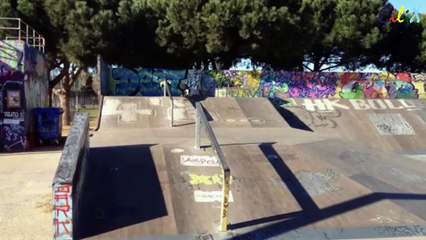 Великая собака скейтер