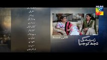 Zindagi Tujh Ko Jiya Episode 41 Promo HD Hum TV Drama 28 April 2016