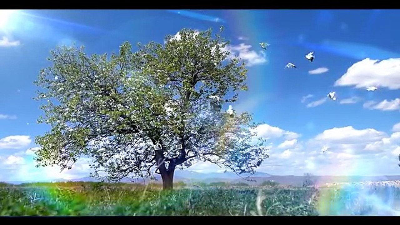SUBH E HIDAYAT PART 01 06 04 2016