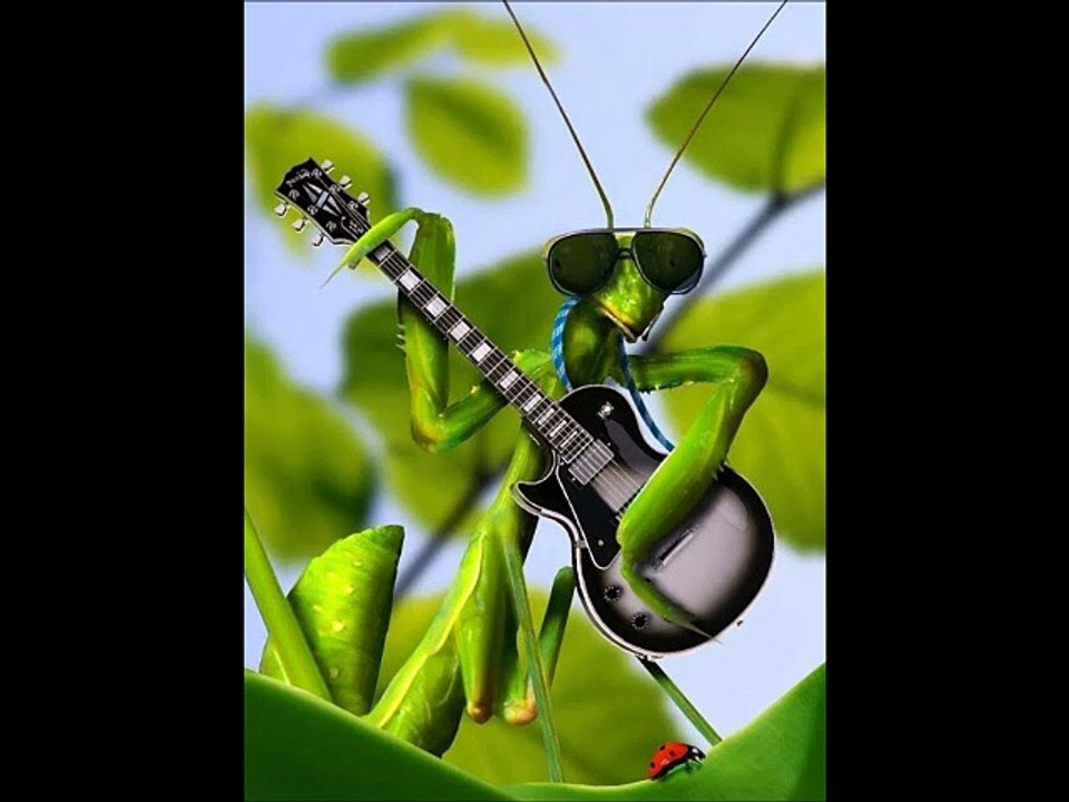 Dubstep Machine - Originalmix