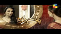 Pakeeza Episode 13 Promo HD HUM TV Drama 28 April 2016