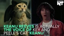 Keanu Reeves Is Actually The Voice Of The Cat In 'Keanu'