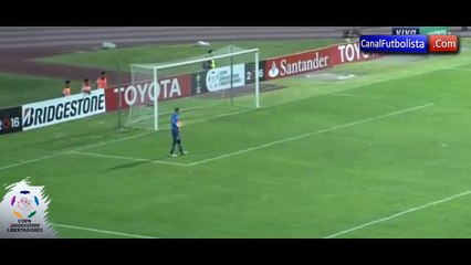 Perro se divierte jugando en la cancha Tachira vs Pumas Copa Libertadores 2016