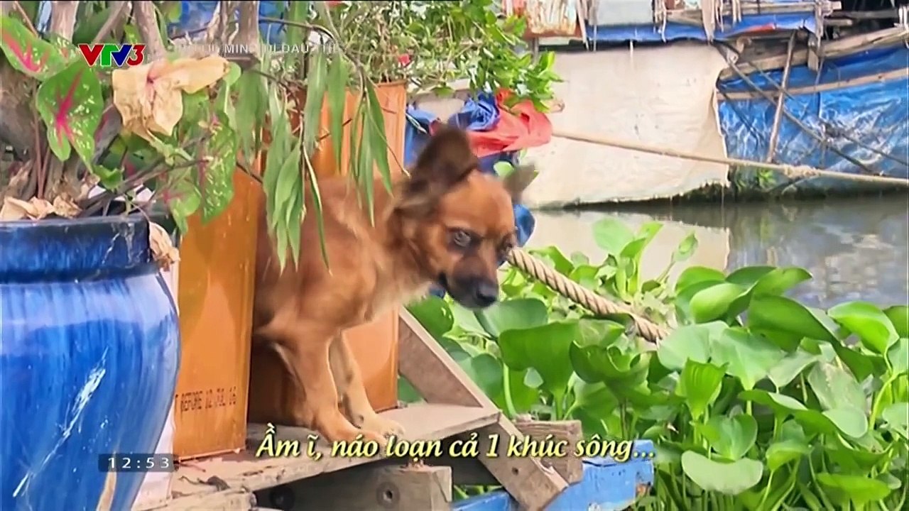 AI ĐÁNH MẤT HỘP QUÀ ? | BỐ ƠI MÌNH ĐI ĐÂU THẾ (SEASON 2)