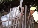 OMG!!! What Bad Boy Doing With Donkey-Funny Videos-Whatsapp Videos-Prank Videos-Funny Vines-Viral Video-Funny Fails-Funny Compilations-Just For Laughs