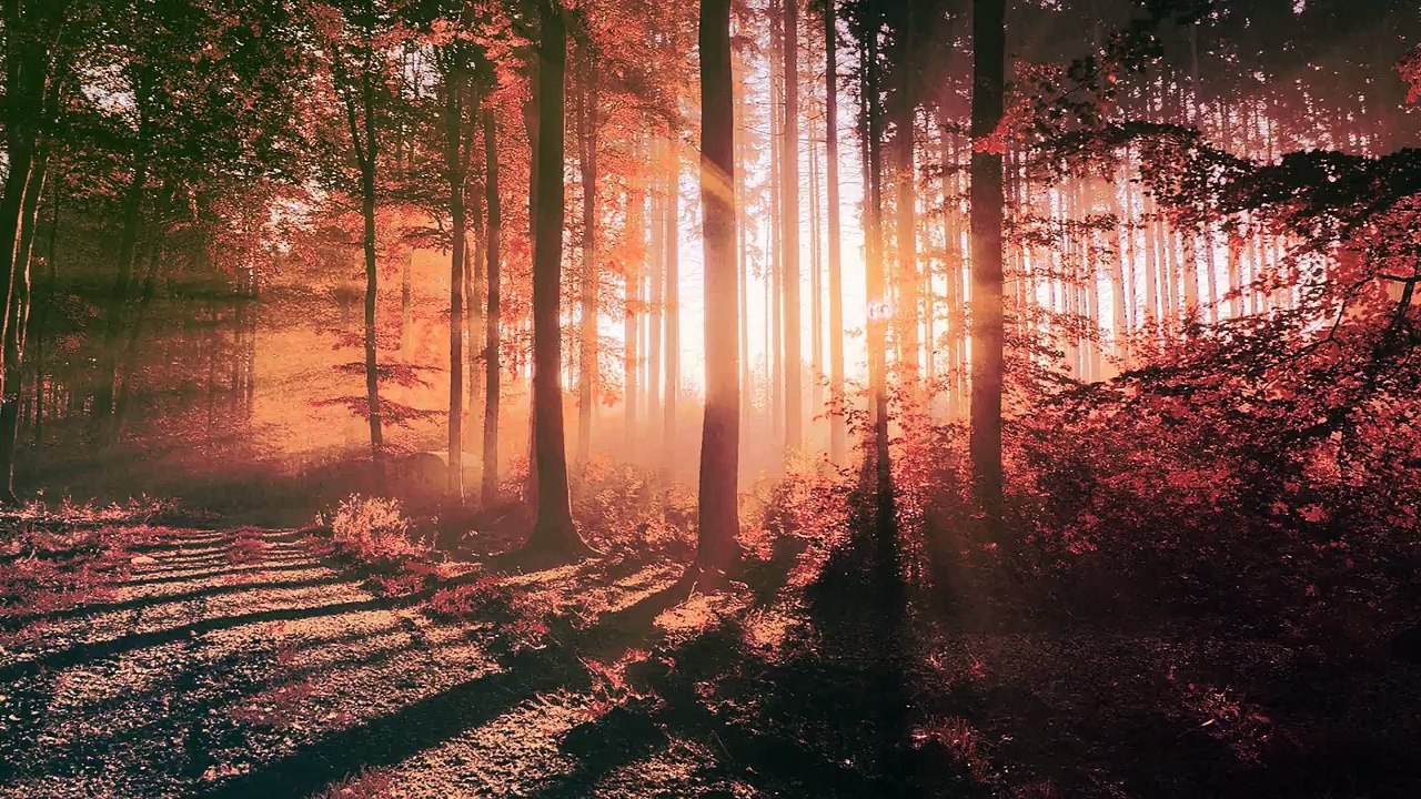 12 MONKEYS: RETURNS - Trailer Music - (Sons of Pythogoras - To Leave It All)