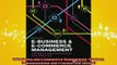 READ book  EBusiness and ECommerce Management Strategy Implementation and Practice 5th Edition Full Free