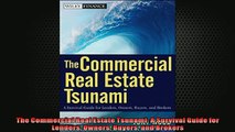 Free PDF Downlaod  The Commercial Real Estate Tsunami A Survival Guide for Lenders Owners Buyers and Brokers READ ONLINE