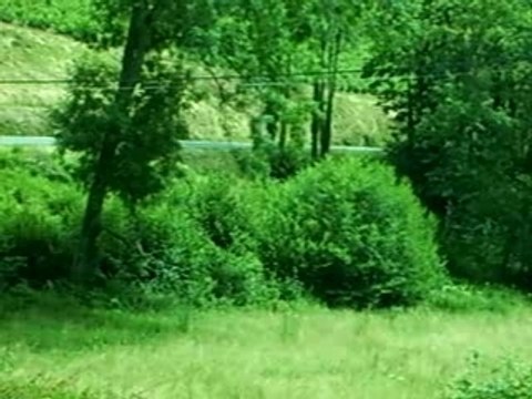 Course de cote à Marchampt 2007 BMW