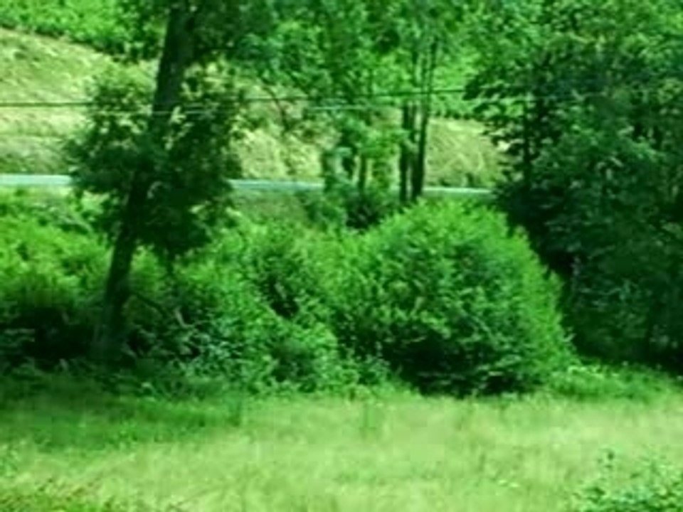 Course de cote à Marchampt 2007 BMW