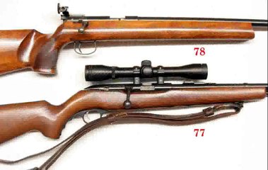 Savage 64 G  .22 LR Rifle -  New