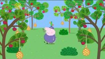Peppa Pig: It is Danny Dog's birthday, and with the help of Grandad Dog and Grandpa Pig...
