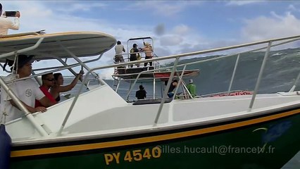 Amazing Raw footage sea skating