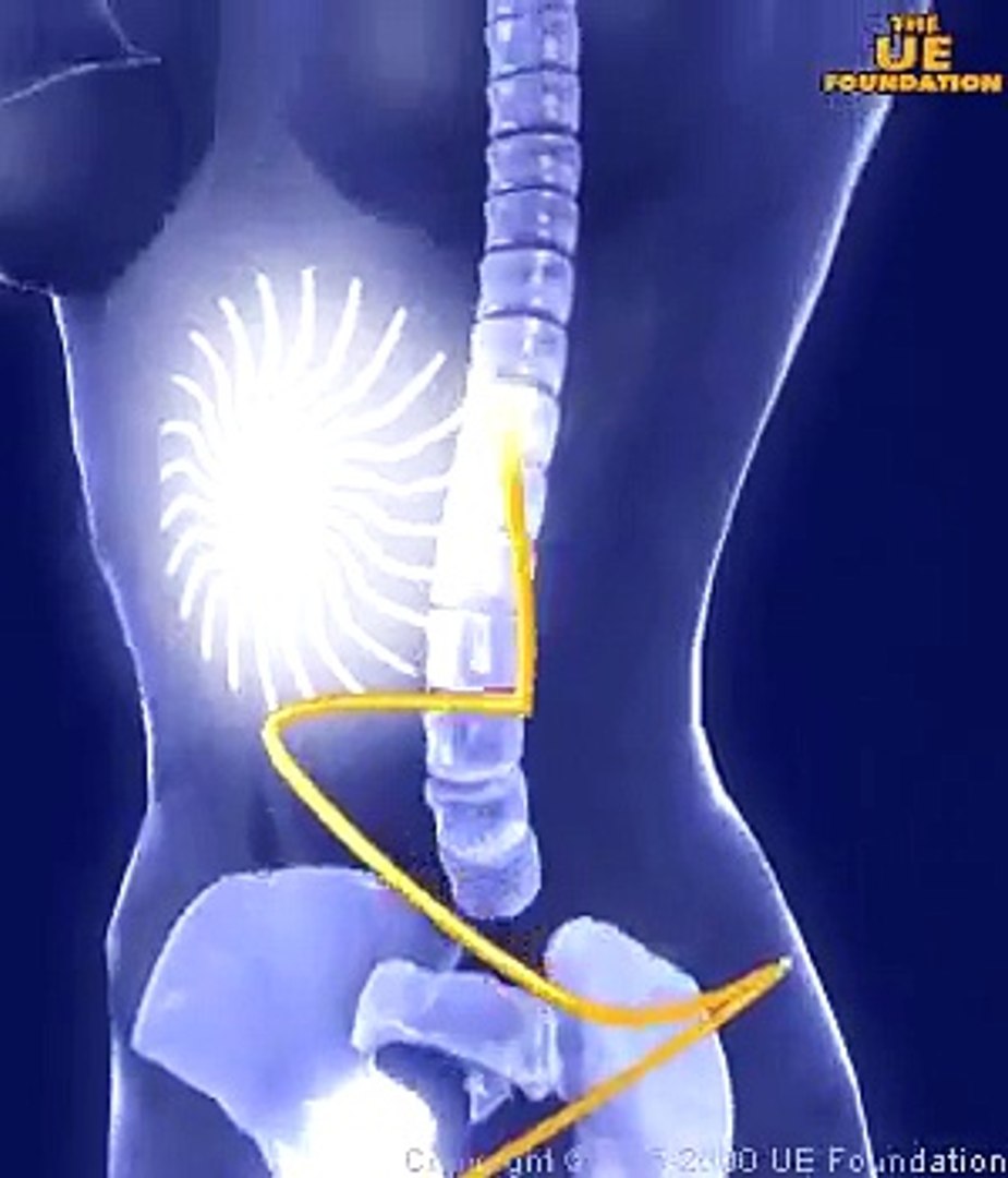 ⁣Méridiens animés