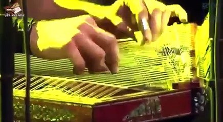 Filiz Şenol ÇetinAY - Bir Bahar Akşamı