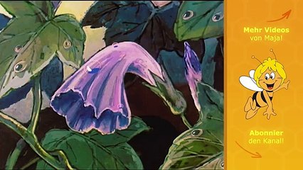 Die Biene Maja - Folge 52 - Maja kommt nach Hause
