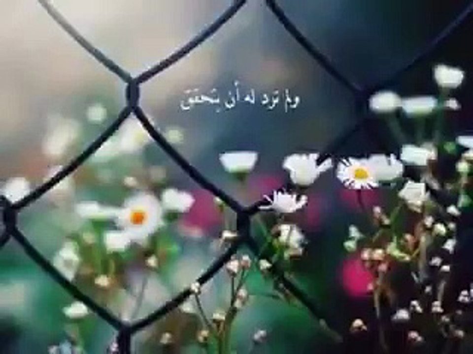 ياربي علمني ... وزدني علماً ♡