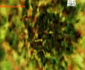 The Most Extreme (Season 5) 23rd June 2014 Video Watch Online Pt3
