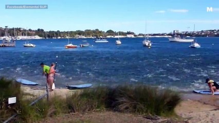 Hundreds of salmon turn calm waters into bubbling sea of fish nightmares