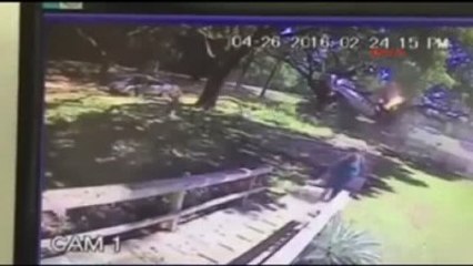 Düşen Uçaktan Sadece Elindeki Çizikle Kurtuldu