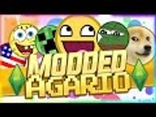 Agar.io Private Server Fun!! #1