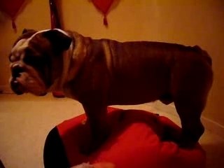 Mise en position pour dormir