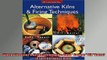 READ book  Alternative Kilns  Firing Techniques Raku  Saggar  Pit  Barrel A Lark Ceramics Book  FREE BOOOK ONLINE
