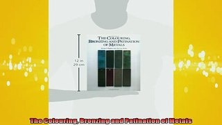 FREE PDF DOWNLOAD   The Colouring Bronzing and Patination of Metals  BOOK ONLINE