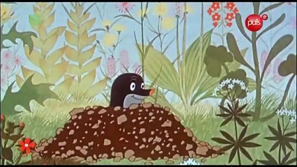 Oprawa świąteczna TV Puls 2 (2012)