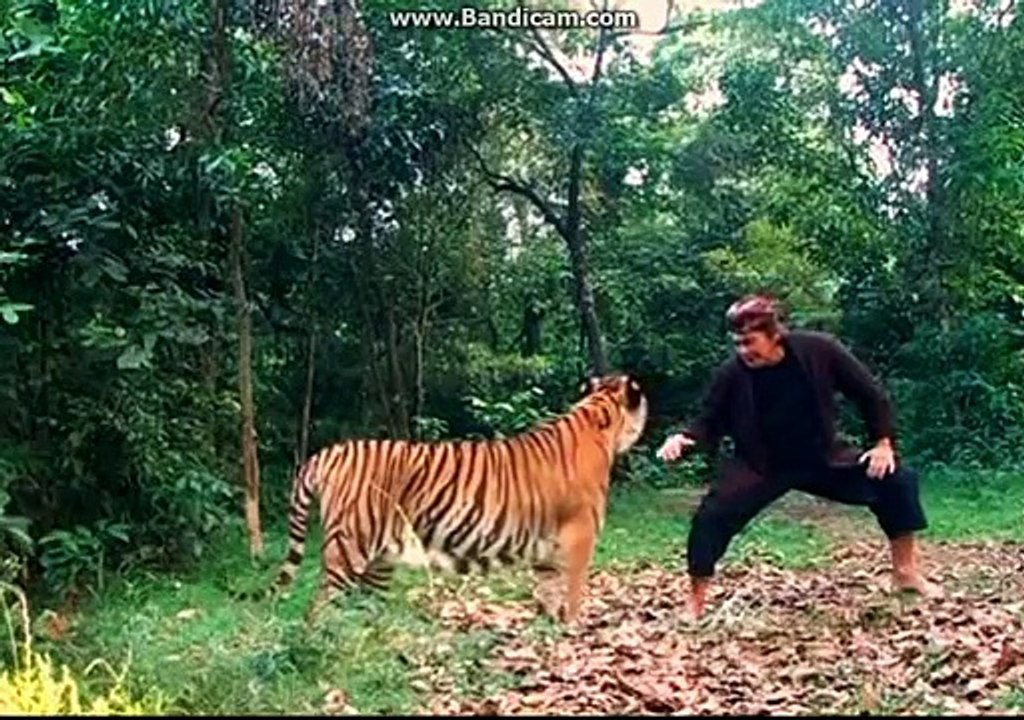 Legenda 7 Manusia Harimau