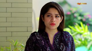 Rub Raazi Episode 16 on express entertainment - 28th April 2016