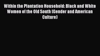 Book Within the Plantation Household: Black and White Women of the Old South (Gender and American