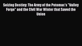 Read Seizing Destiny: The Army of the Potomac's Valley Forge and the Civil War Winter that