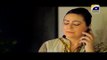 Sila Aur Jannat Episode 100 on GEO TV - 28th April 2016