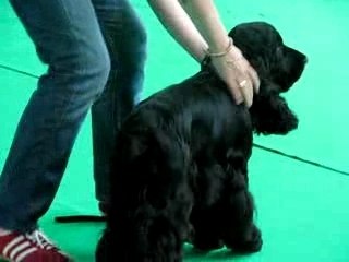 NE MONTLUCON 24 JUIN 2007 242