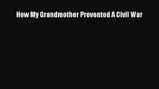 Download How My Grandmother Prevented A Civil War Ebook Online