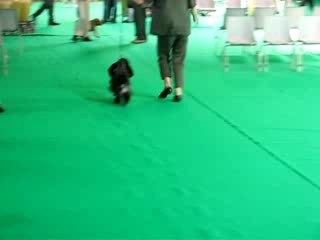 NE MONTLUCON 24 JUIN 2007 240