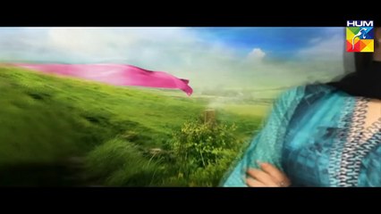 Haya Ke Daman Mein Episode 19 Full Hum TV Drama 25 April 2016