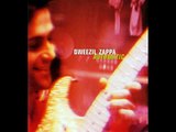 Dweezil Zappa - Les Toreadors