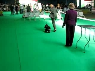 NE MONTLUCON 24 JUIN 2007 239