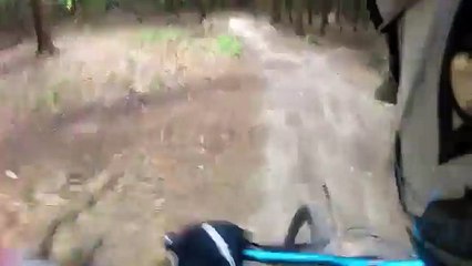 На велике в дерево