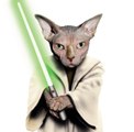 Jedi Cats - Jedi Cats Best Of Trailer - Jedi Kitte