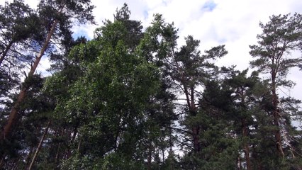 Строю дом в Белом Озере