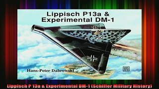 FAVORIT BOOK   Lippisch P 13a  Experimental DM1 Schiffer Military History  BOOK ONLINE