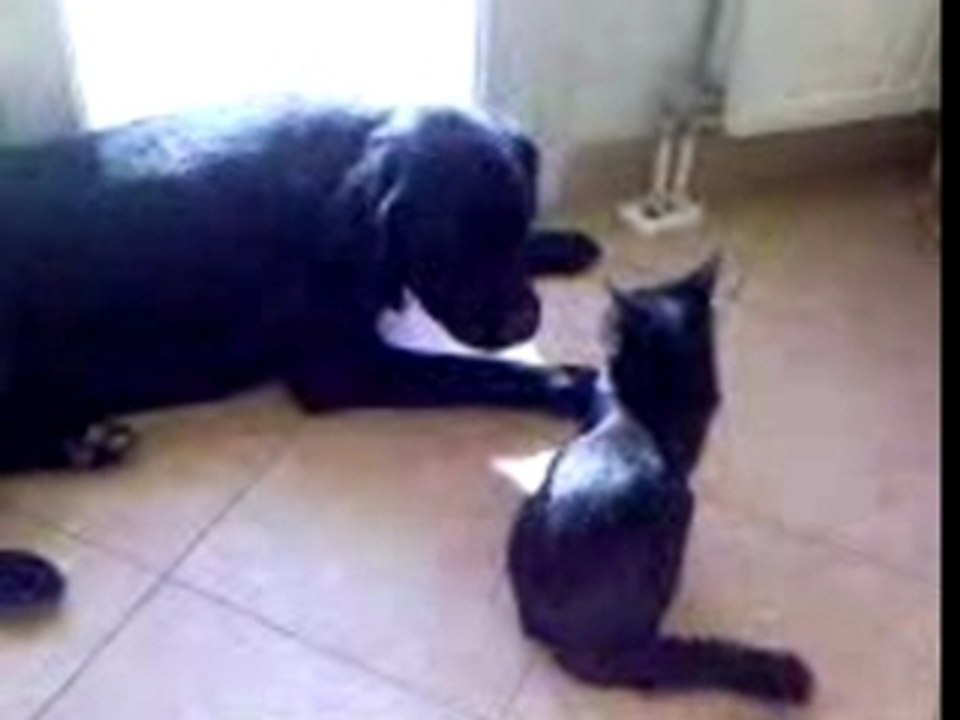 Axis vs Berlioz